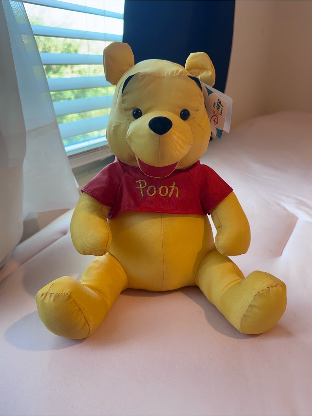 Vintage 1998 Disney Winnie the Pooh Splash Mates Plush!